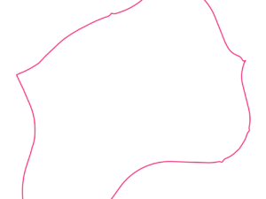 2903 ACT | Australia Postcode Data File| Address List | Download Excel CSV - Image 1