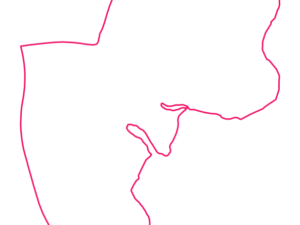 4212 QLD | Australia Postcode Data File| Address List | Download Excel CSV - Image 1