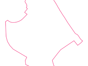 4224 QLD | Australia Postcode Data File| Address List | Download Excel CSV - Image 1