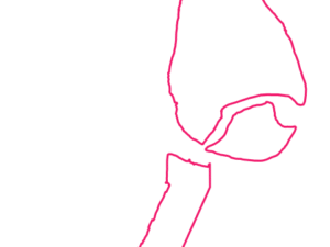 5015 SA | Australia Postcode Data File| Address List | Download Excel CSV - Image 1