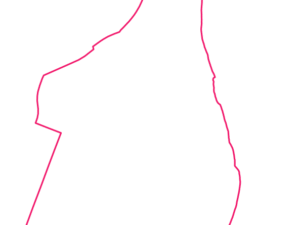 6004 WA | Australia Postcode Data File| Address List | Download Excel CSV - Image 1