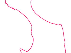 7023 TAS | Australia Postcode Data File| Address List | Download Excel CSV